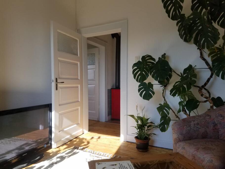 Ferienwohnung Alte-Schule-Kail Wohnung 2 Exterior foto